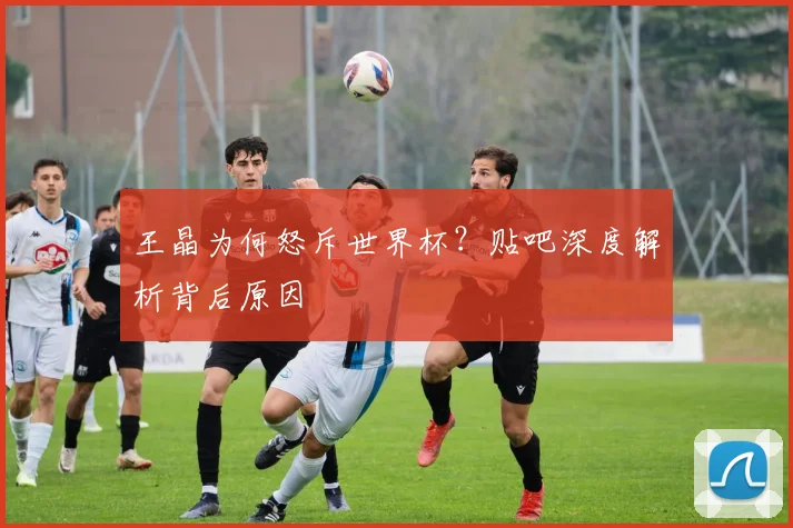 王晶为何怒斥世界杯？贴吧深度解析背后原因