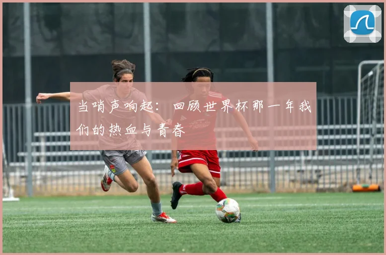 当哨声响起：回顾世界杯那一年我们的热血与青春