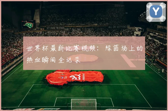 世界杯最新比赛视频：绿茵场上的热血瞬间全记录
