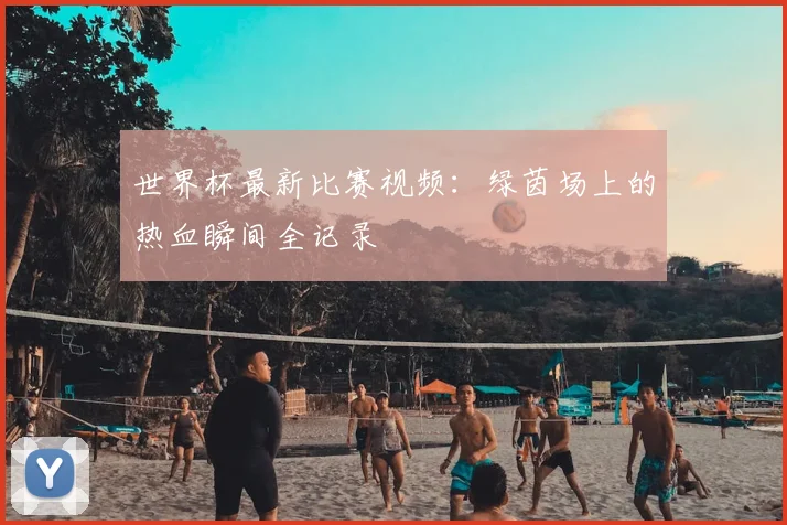 世界杯最新比赛视频：绿茵场上的热血瞬间全记录