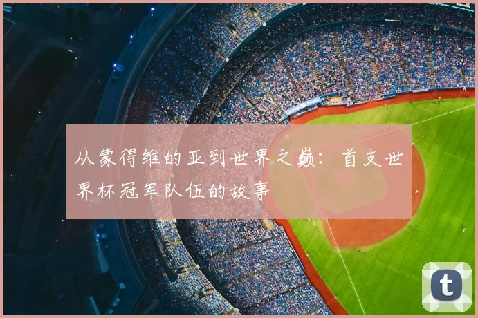 从蒙得维的亚到世界之巅：首支世界杯冠军队伍的故事