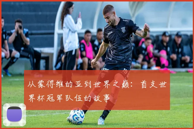 从蒙得维的亚到世界之巅：首支世界杯冠军队伍的故事